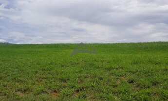 Imagem 4: Terreno - Loteamento Residencial Entre Verdes (Sousas) - Campinas