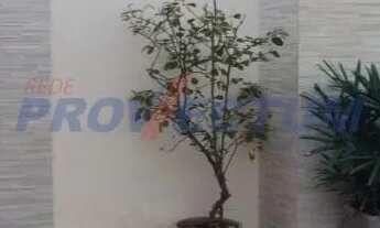 Imagem: Casa - Bairro das Palmeiras - Campinas