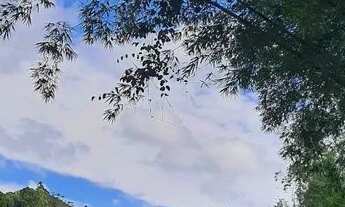 Imagem 4: Sitio em Domingos Martins