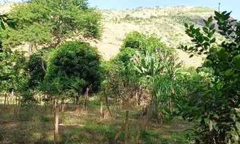 Imagem 3: Chácara com casa e pomar produzindo