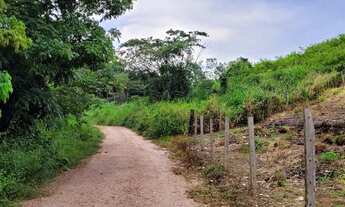 Imagem 7: Chácara 3 alqueires