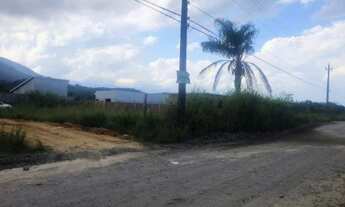 Imagem: Terreno No Centro De Adrianópolis