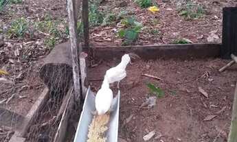 Imagem: Terreno perto da cidade