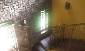 Imagem 4: A mais bela Violeta