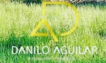 Imagem 3: SÍTIO A VENDA EM PATROCÍNIO-MG