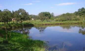Imagem 7: CAPELA DE SANTANA - Terreno Padrão - Imigrantes