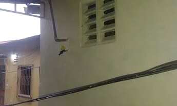 Imagem 7: ALUGA-SE UMA KIT NET R$350