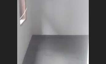 Imagem 5: Casinha Fundos Tucuruvi