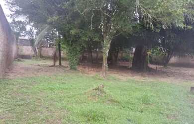 Imagem 2: Casa em Curuça Casa com 4 dormitórios