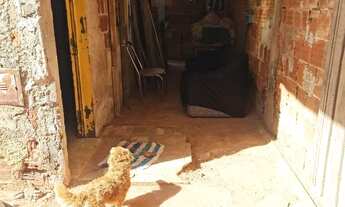 Imagem 6: Vendo casa3 quartos condom Prive