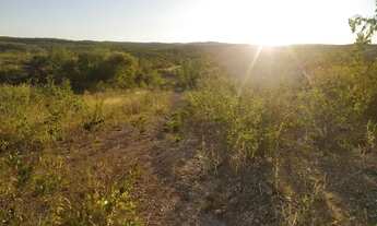 Imagem 2: Terreno para chácaras