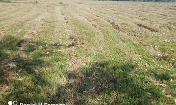 Imagem: 10 mil metros em Ferraz Rio Claro