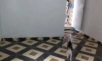 Imagem 2: Comodo grande kitnet Jd campo belo 1