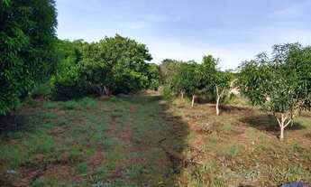 Imagem 3: Vende- chácara Chácara com venda por R$80.000