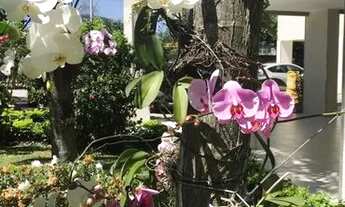 Imagem 2: Apartamento para venda com 46 metros quadrados com 2 quartos, reformado, pronto para morar