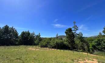 Imagem 6: Parcelo Direto Meia Hectare Com Riacho A 100Mtrs Da Rs020. ROB:125