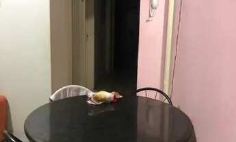 Imagem 2: Vaga em apartamento na Boa Vista