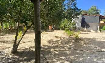 Imagem 6: Chácara na região do pentaurea clube