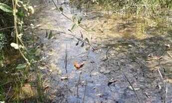 Imagem 6: Terrenos 20.000m² Financiados em Cordisburgo Perto de Araçai