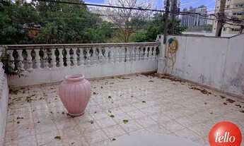 Imagem 2: São Paulo - Casa Padrão - Tatuapé