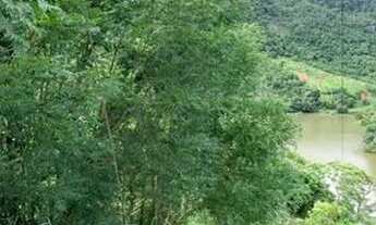 Imagem 2: Terreno na represa