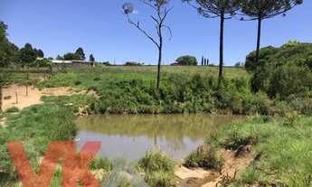 Imagem 6: Área Rural para Venda em Campo do Tenente, Campo do tenente