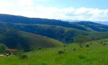 Imagem: 29NTUDO QUE VOCÊ PRECISA