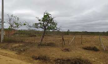 Imagem 3: Tarefas em Água Fria