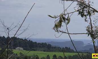 Imagem 7: Sítio / Chácara para Venda em Nova Petrópolis, Linha Imperial