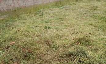 Imagem 6: LOTE PONTE ALTA 400 MTS