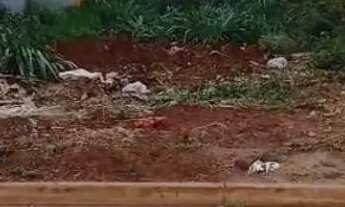 Imagem: Terreno em pontal /sertaozinho