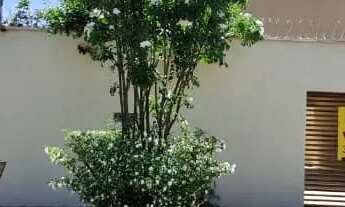 Imagem: Casa 110,00m²