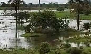 Imagem 6: Fazenda Goiás - Mara Rosa