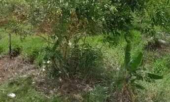 Imagem 3: Terreno / Lote murando à venda com 360 m² em Nova Guarapari-ES, frente lagoa