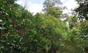 Imagem 7: Lindo Sítio/Terreno no Bairro Olaria em Canoas REF: G4485