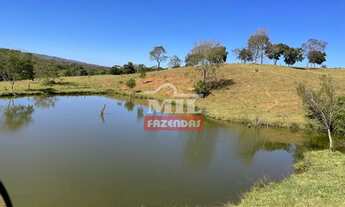 Imagem 6: Fazenda 23 Alqueires ( 111.32 hectares) Caldas Novas-GO