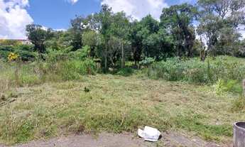 Imagem 3: Terreno 125 metros Caucaia do alto