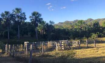 Imagem 4: Vende-se Chácara