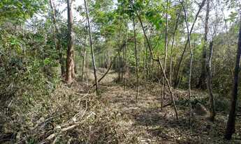 Imagem 5: Chácaras de 2.500 metros em Esmeraldas