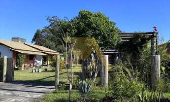 Imagem 7: Excelente Oportunidade Duas Casas com Edícula e Terreno Amplo