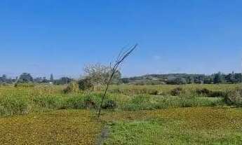 Imagem 3: Velleda oferece lindo sítio 6700m², figueira centenária e açude, condomínio em Águas Clara