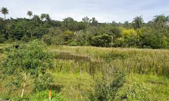 Imagem 4: Chacara com lagoa em betim