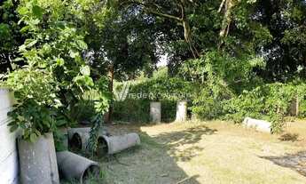 Imagem 4: Chácara - Santa Terezinha - Paulínia