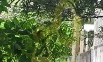 Imagem 2: Terreno à Venda no Butantã - São Paulo