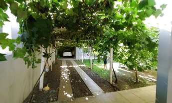 Imagem 6: Casa a venda em Pé de Platano