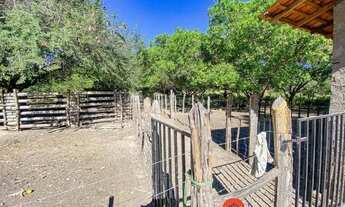 Imagem 2: Sítio na Estrada de União, Teresina-PI