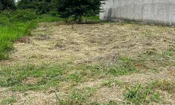 Imagem: Excelente lote