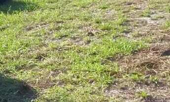 Imagem: SÍTIO Salinopolis 200 metros pista, 10