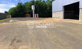 Imagem 3: Galpão para aluguel, São Jorge - Uberlândia/MG