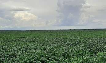 Imagem 2: Fazenda de 783 Alqueires em Santa Maria -TO